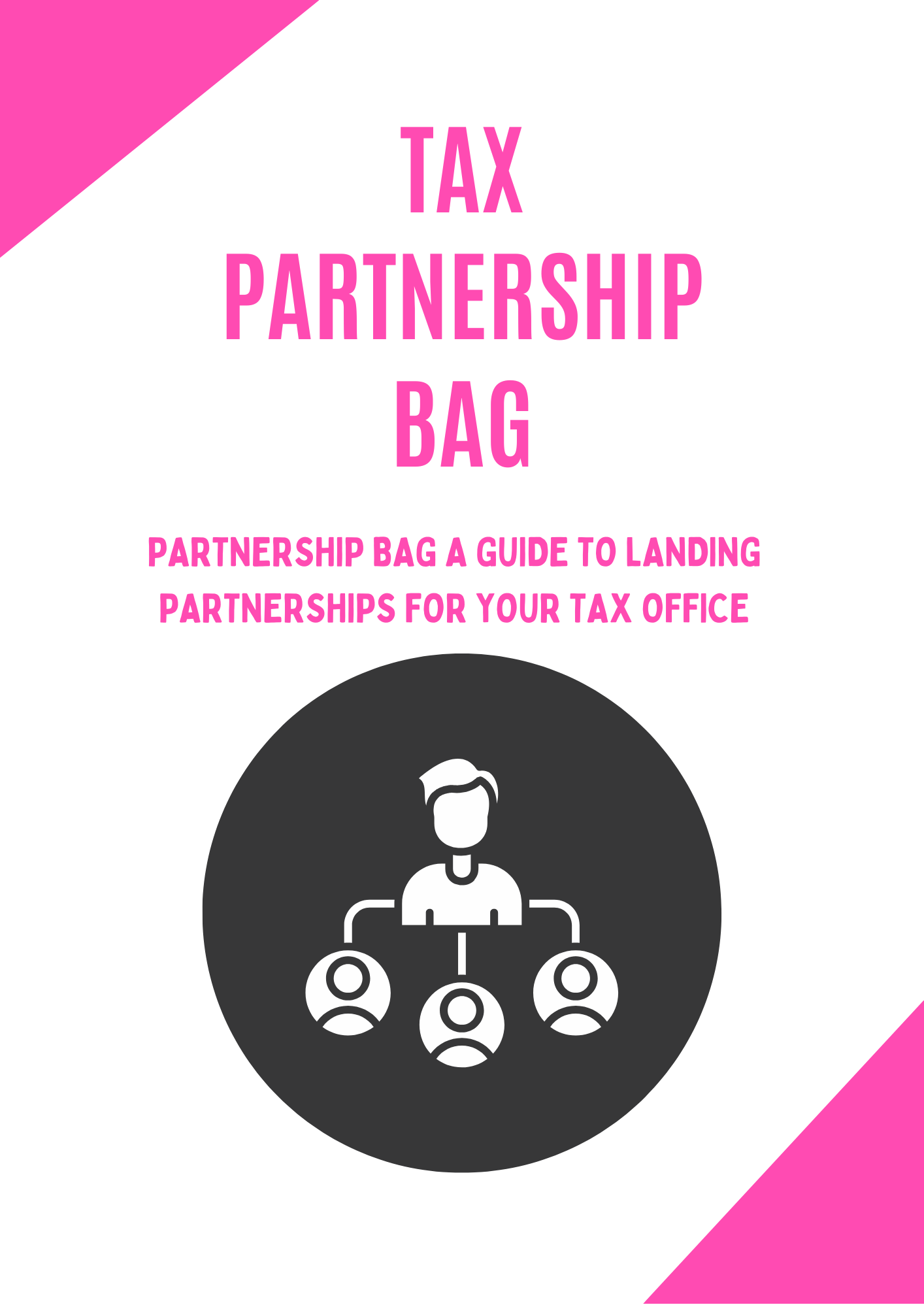 TAX PARTNERSHIP TEMPLATE
